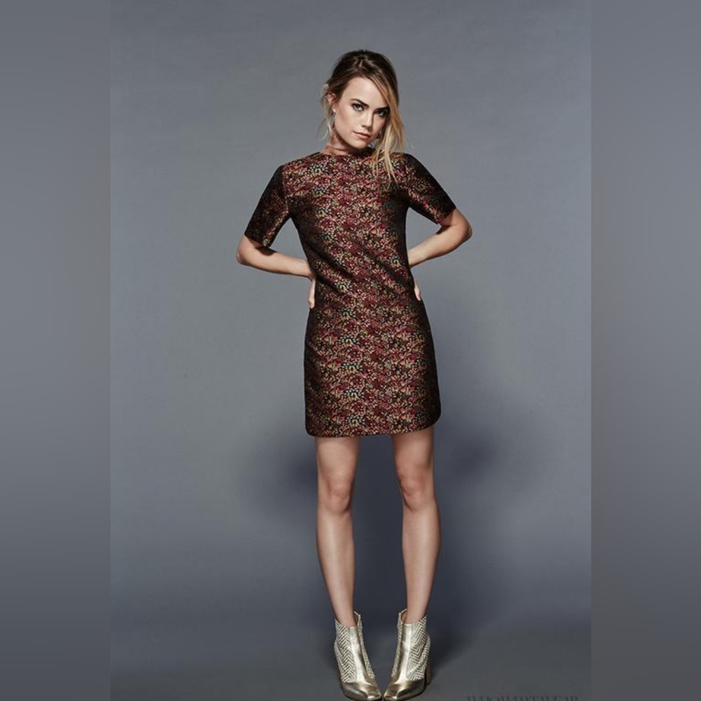 Zara Metallic Brocade Sheath Dress - Short Sleeve Cocktail Dress Size Large NWT